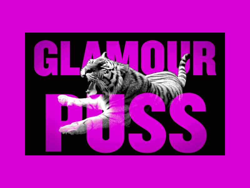 Glamour Puss Title Sequence animation cat cats film titles motion titles typography video