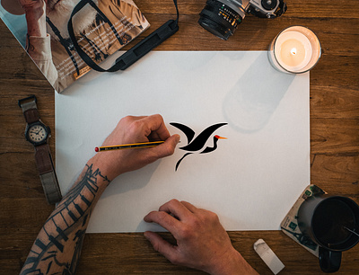 logo design branding character design design flat illustrator graphic design illustration logo logo design ui vector vector illustrator
