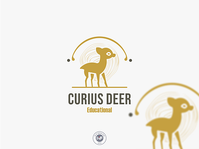Curius Deer deer educational