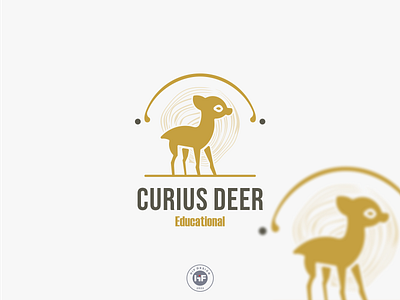 Curius Deer