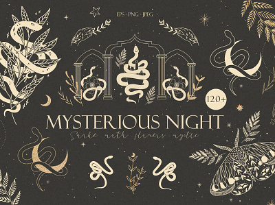 Mysterious night icon