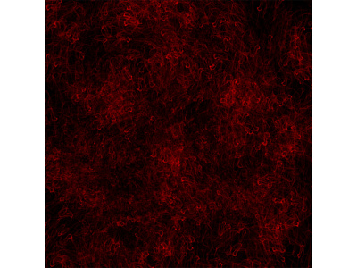 BG#11: Blood Corals abstract adobe blood dark wallpapers design graphic design horror photo editing photoshop poster design red wallpaper