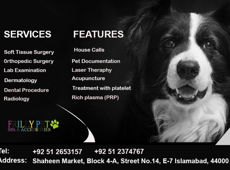 Pets Banners by zayghumraza on Dribbble