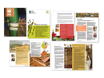 Publication Design design graphic design