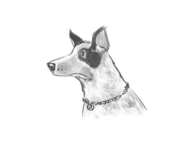 Max Dog book character dog illustration onga sketch