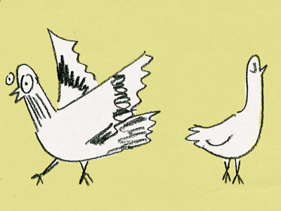 Pigeon or Dove? bird illustration pigeon