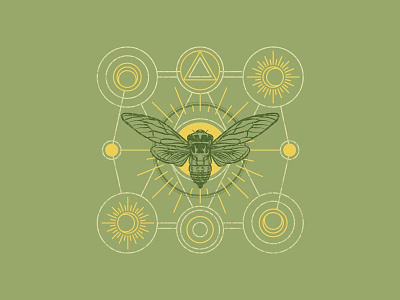 Green Cicada Illustration cicada design illustration vector