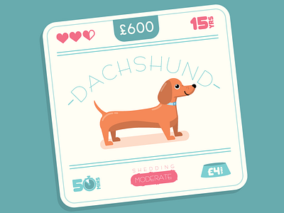Dachshund card cute dachshund dog exercise infographic life lifespan sausage stats