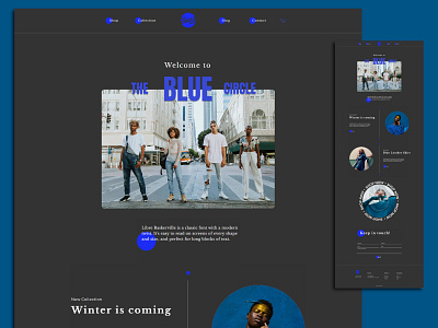 The Blue Circle shop template ui ux website wix