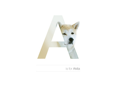 A - Akita