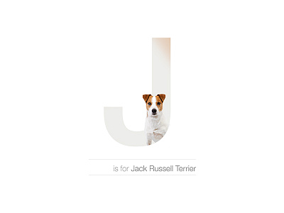 J - Jack Russell Terrier active alphabet breed design dog hyper jack russell terrier letter