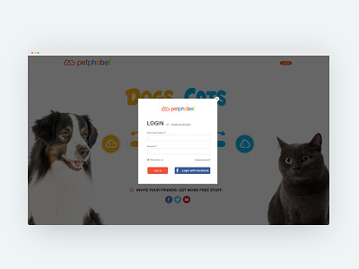 Dogs vs. Cats Login & Create Account cats create account dogs login screen