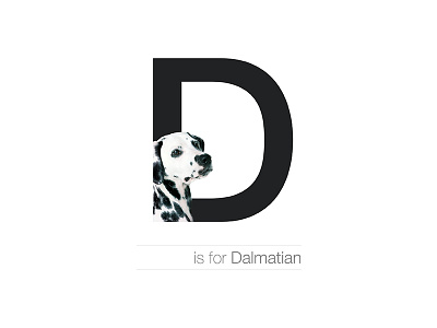D - Dalmatian breed croatia dalmatian dog dogalphabet letter