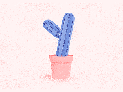 Y Cactus