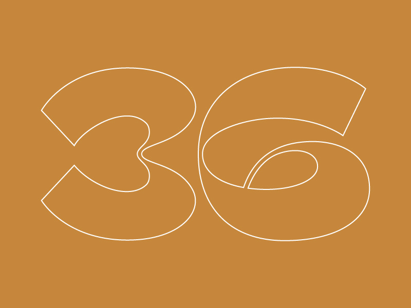 36 days typography golden line flat number type design vector illustrator 36 days of type