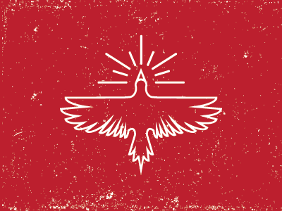 Soaring Bird bird icon illustration logo outlines texture