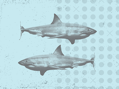 SHARKS fish halftone illustration nautical pattern sharks texture