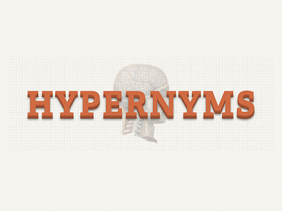 Hypernyms 3d branding css diagram grid hypernyms medical orange serif typography white