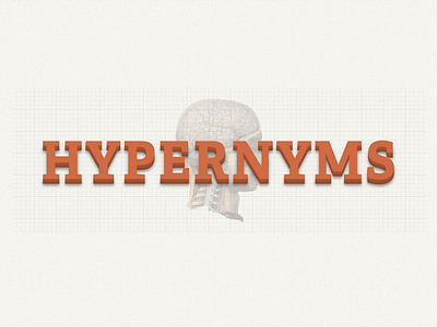 Hypernyms