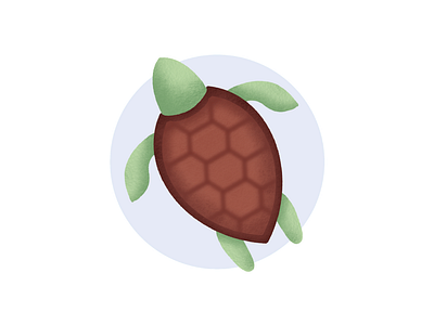 Turtle 2d 2d art art design digital digital art digital drawing digitalart dribbble illustration ipadpro nyondesign procreate procreate art procreate brushes procreateapp turtle vector