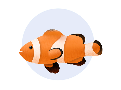 Nemo 2d art art design digital digital art digital drawing digitalart dribbble fish illustration ipadpro nemo nyondesign procreate procreate art procreate brushes procreateapp vector