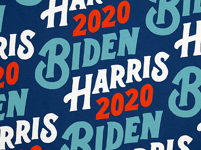 Biden Harris 2020 lettering type typography