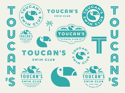 Toucan's Swim Club Logo bar branding design icon identity logo type vector
