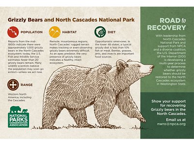 NPCA Postcard animal bear illustration infographic postcard print
