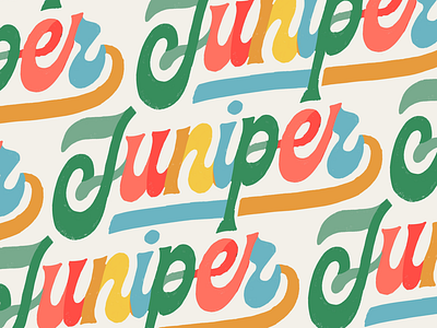 Juniper funky handlettering lettering rainbow script type typography