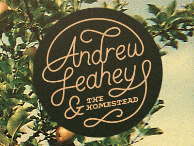 Andrew Leahey & The Homestead album cover ampersand band circle flat hand lettering lettering music print script simple swash type typography vector vintage