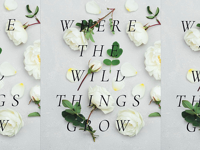 Where the Wild Things Grow design flatlay flowers newsprint print roses type typography