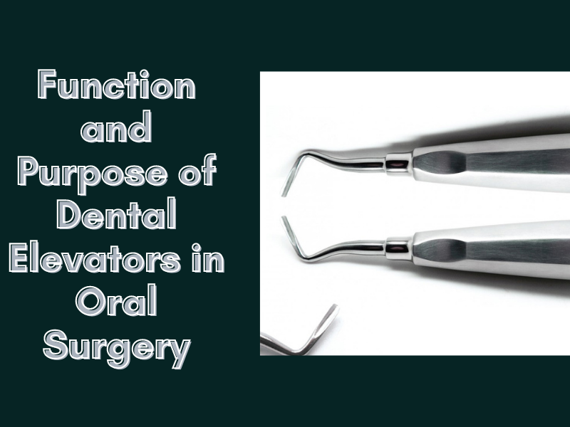 Dribbble Function and Purpose of Dental Elevators in Oral Surgery.png