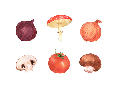 Ingredient vegetables for Pizza art branding clean illustration design drawing flowers food illustration ingredients leaves mushroom nature onion paint print tomato vegetable watercolor watercolour