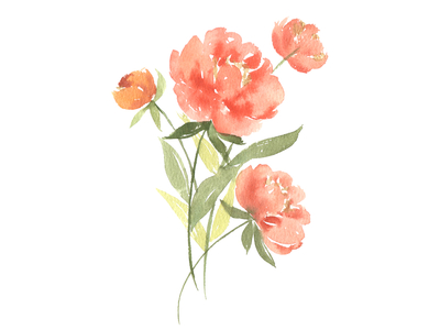 loose flower bouquet watercolor no.03 by Planolla on Dribbble