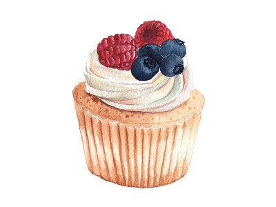 cupcake mix-berry watercolour illustration