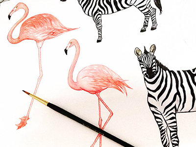 Flamingo & Zebra Animals tropic watercolour animal art flamingo illustration object paint sketch tropical watercolor watercolour zebra