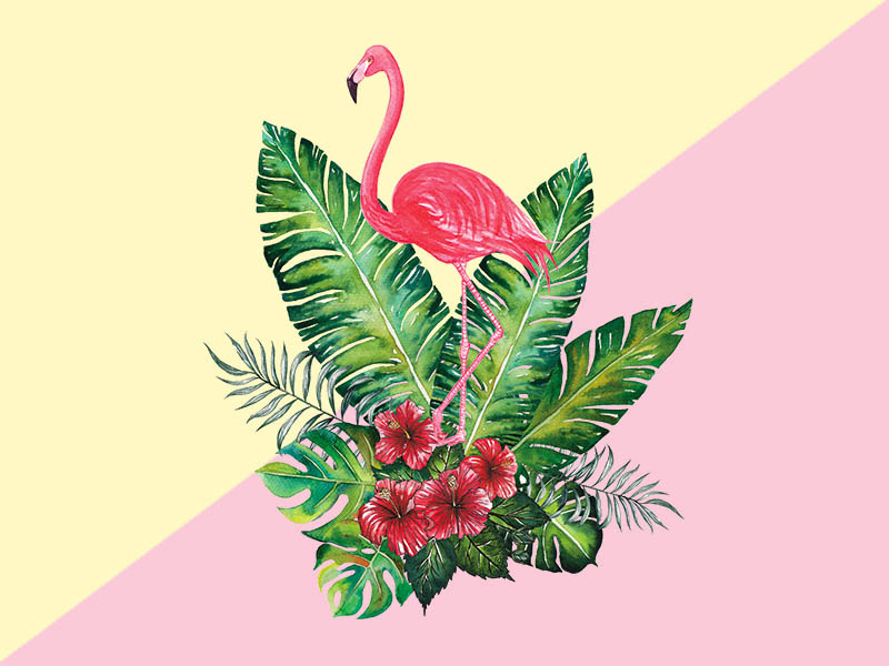 Flamingo with Botany tropic by Planolla on Dribbble