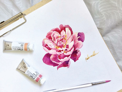 Pink peony flower watercolor