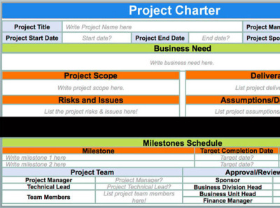 Project Charter Template (PMBOK) dashboards project management projects templates ui