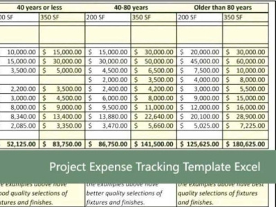 Best Project Expense Tracking Template Excel branding dashboards design project project management projects templates ui