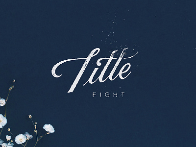 Title Fight