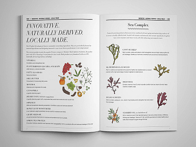 Texture Category Ingredients Spread drawing haircare hand drawn illustration layout magazine publication vancouver