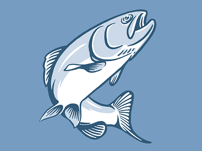 Trout designs, themes, templates and downloadable graphic elements on  Dribbble