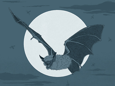 Nature's Pest Patrol - BATS art bat bats bugs clouds design digital art digital illustration draweing flying halftone illustration monochrome moon nature night true grit textures wildlife