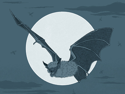 Nature's Pest Patrol - Bats