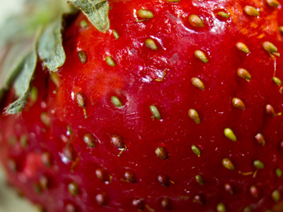 Strawberry Macro ballardstudio macro photography project 365 strawberry