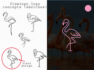 Flamingo logo design graphic design hand drawn logo logo design vector