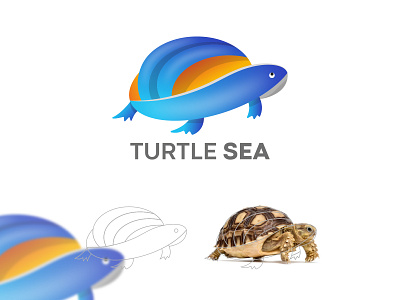 Turtle business logo - Dribbble Logo