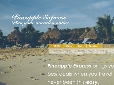 Pineapple Express travel ui design ux design