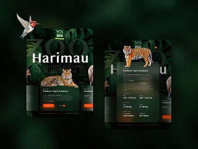 Zoo Mobile Application UI Design app branding design illustration logo ui